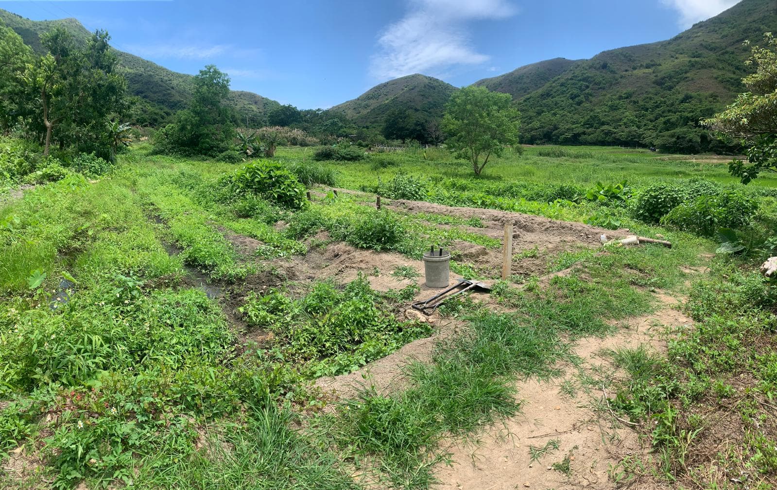 開墾後