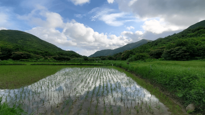 創造永久水田 / 農田