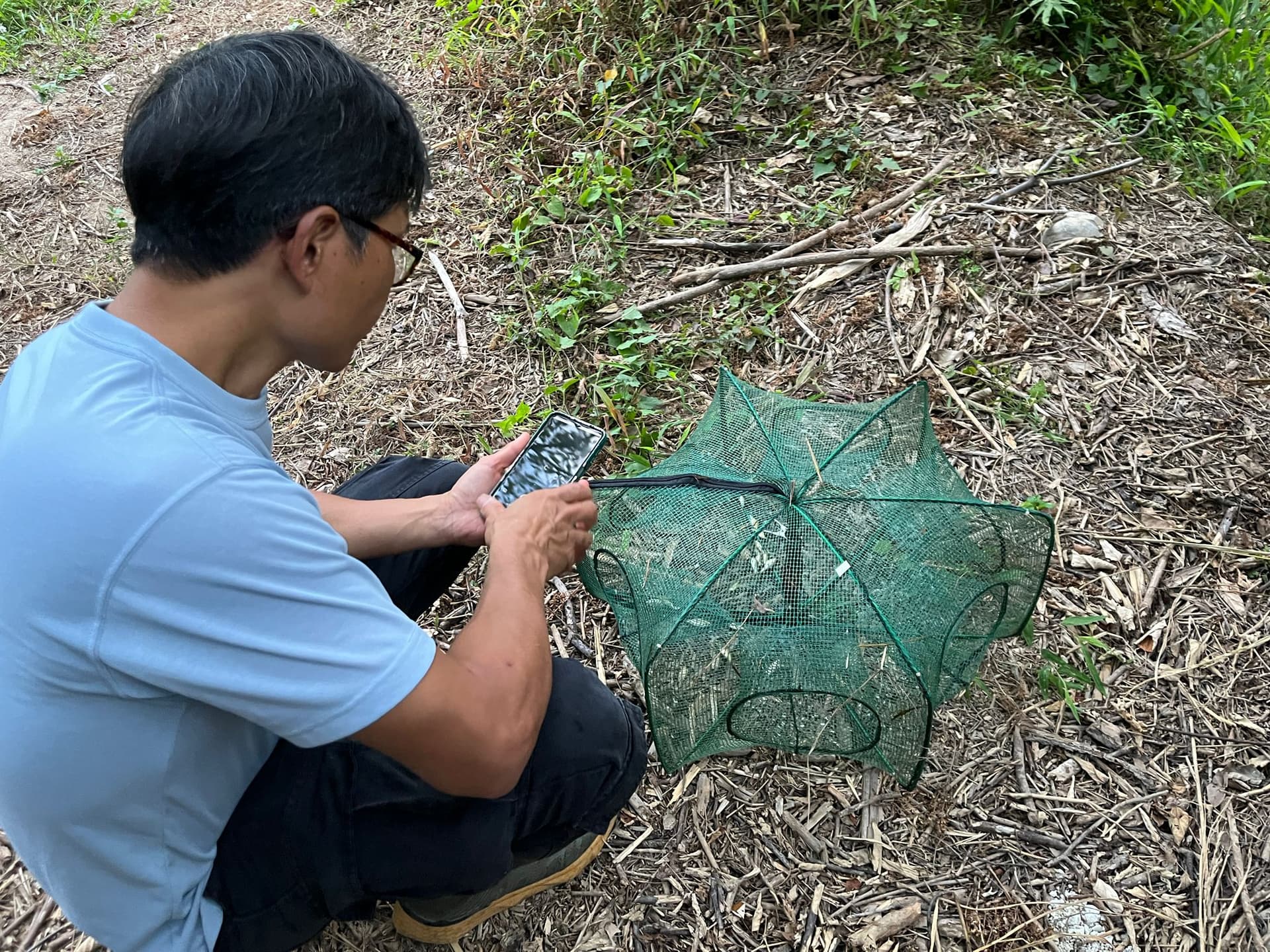 設置陷阱與捕捉